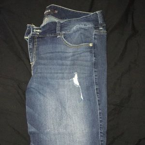Torrid Premium Jeggings Dark Wash